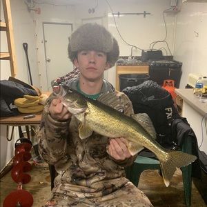 Meet your Posher, Dylan